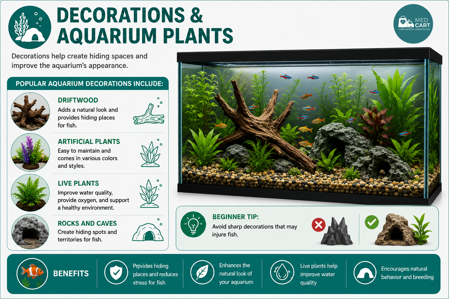 Aquarium Decorations and Plants Guide