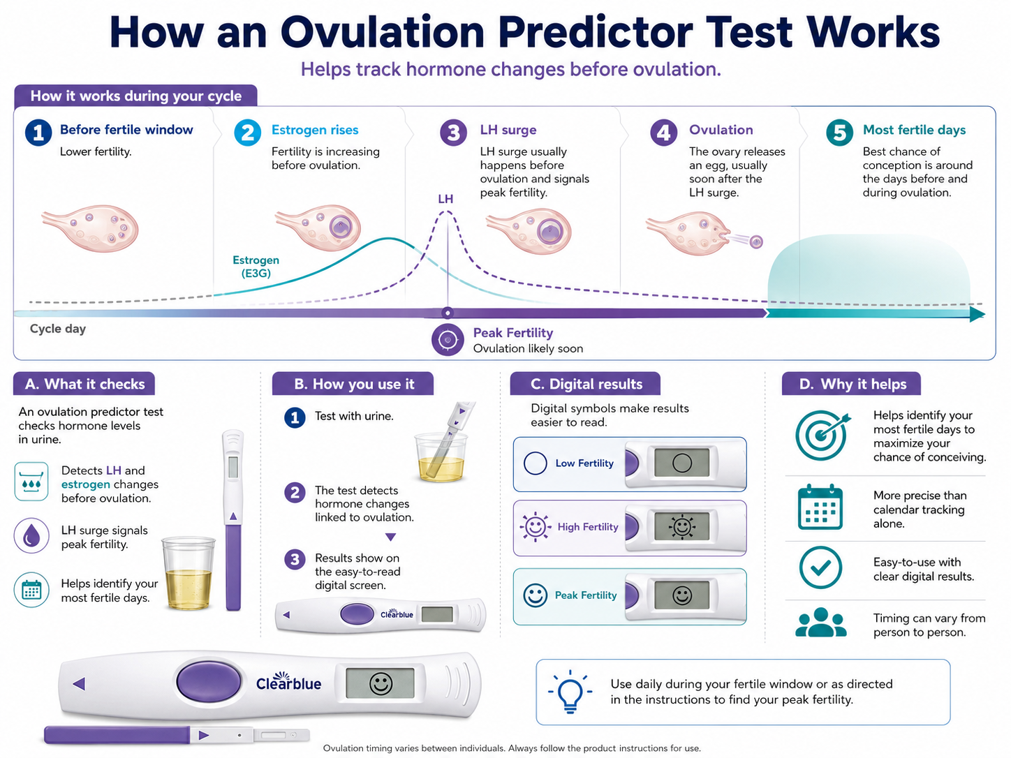 How Does an Ovulation Predictor Test Work How Does an Ovulation Predictor Test Work