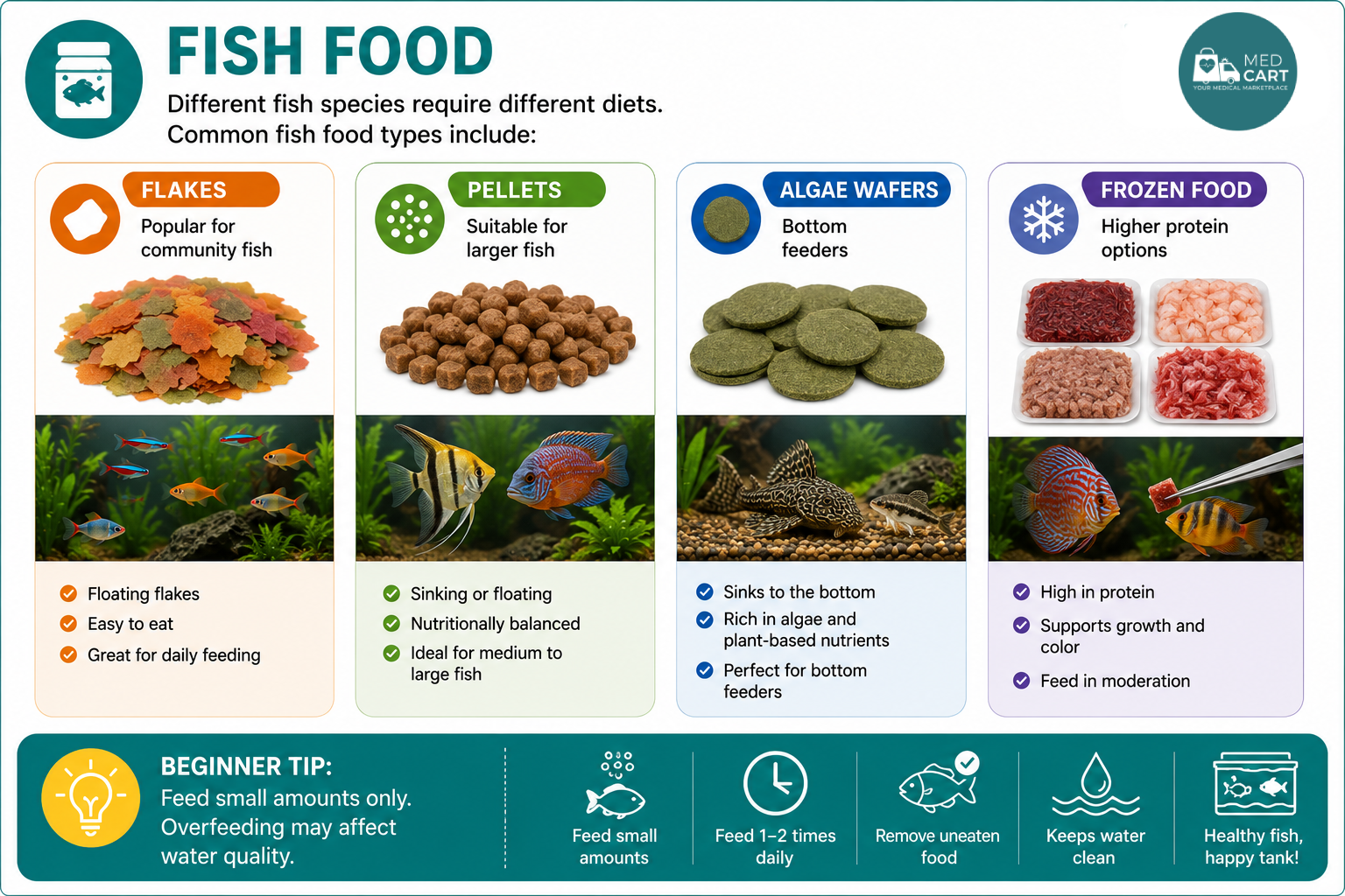 Types of Fish Food Guide