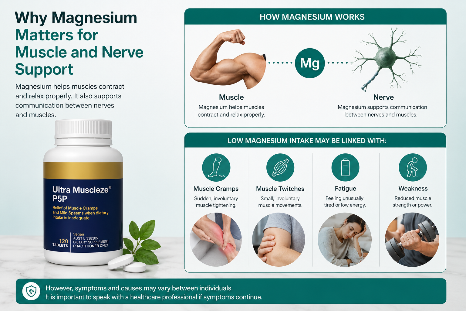 Why Magnesium Matters for Muscle and Nerve Support 